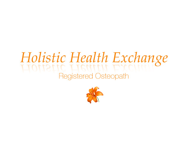 Holistic Health Exchange - Identity Design
