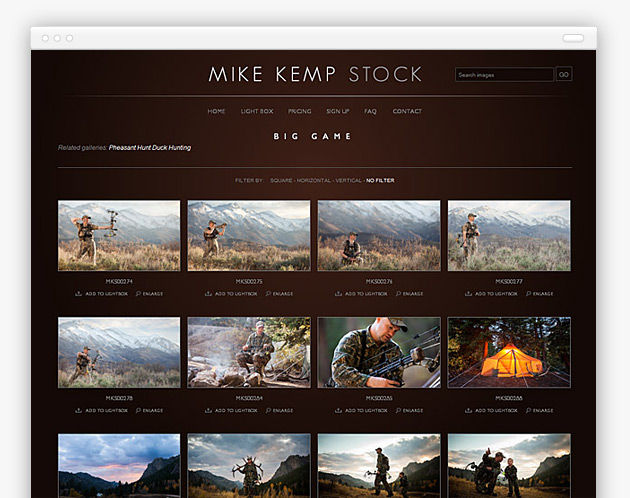 Mike Kemp Stock - Search Results